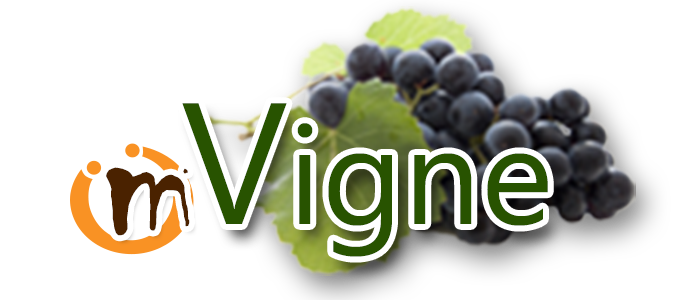 mVigne_300dpi